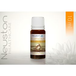 Mézeskalács illatos olaj 10 ml